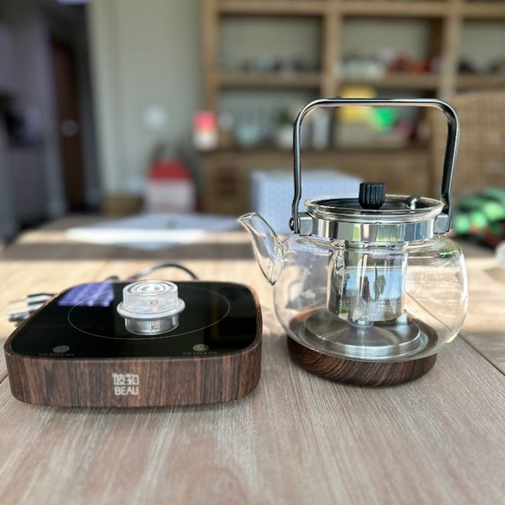 Electric Tea Kettle for Brewing E-DCH-SF