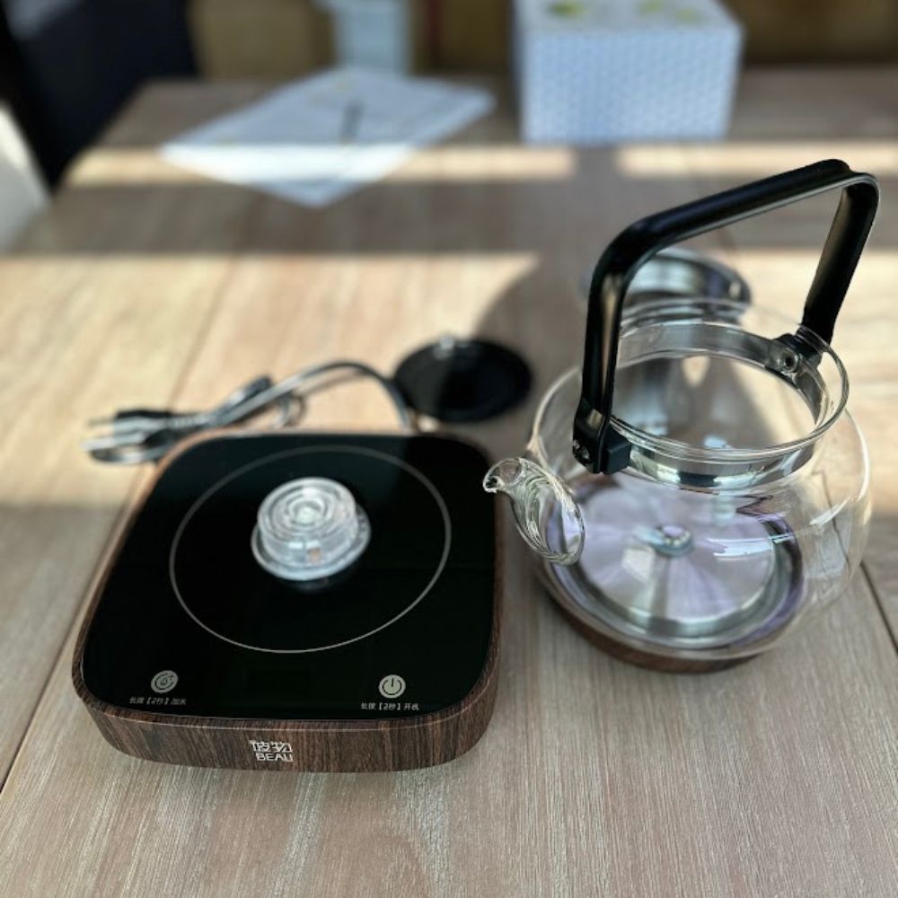 Electric Tea Kettle for Brewing E-DCH-SF