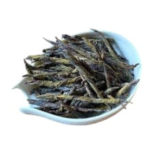 苦丁茶KD200